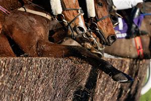 DUBLIN, IRELAND - DECEMBER 29: Runners flick through the top of a fence during The Adare Manor Opportunity Handicap Chase at Leopardstown Racecourse on December 29, 2022 in Dublin, Ireland (Photo by Alan Crowhurst/Getty Images)