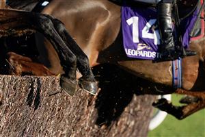 DUBLIN, IRELAND - DECEMBER 29: Runners flick through the top of a fence during The Adare Manor Opportunity Handicap Chase at Leopardstown Racecourse on December 29, 2022 in Dublin, Ireland (Photo by Alan Crowhurst/Getty Images)