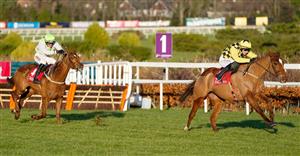 2023 Punchestown Champion Hurdle Tips - Will State Man live up to expectations?