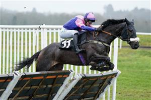 NEWBURY, ENGLAND - DECEMBER 31: Niall Houlihan riding Jupiter Du Gite clear the last to win The Coral Racing Club Join For Free