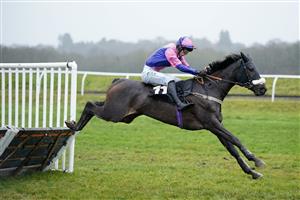 NEWBURY, ENGLAND - DECEMBER 31: Niall Houlihan riding Jupiter Du Gite clear the last to win The Coral Racing Club Join For Free