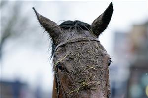 NEWBURY, ENGLAND - DECEMBER 31: A wet and muddy day at Newbury Racecourse on December 31, 2022 in Newbury, England. (Photo by Alan Crowhurst/Getty Images)