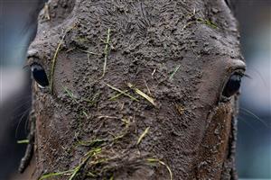 NEWBURY, ENGLAND - DECEMBER 31: A wet and muddy day at Newbury Racecourse on December 31, 2022 in Newbury, England. (Photo by Alan Crowhurst/Getty Images)