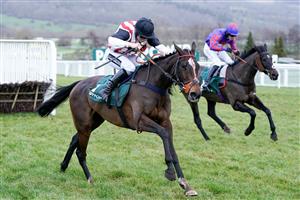 CHELTENHAM, ENGLAND - JANUARY 01: Lilly Pinchin riding Hector Javilex clear the last to win The Paddy Power Handicap Hurdle at Cheltenham Racecourse on January 01, 2023 in Cheltenham, England. (Photo by Alan Crowhurst/Getty Images)