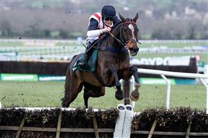 CHELTENHAM, ENGLAND - JANUARY 01: Lilly Pinchin riding Hector Javilex clear the last to win The Paddy Power Handicap Hurdle at Cheltenham Racecourse on January 01, 2023 in Cheltenham, England. (Photo by Alan Crowhurst/Getty Images)
