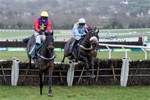 CHELTENHAM, ENGLAND - JANUARY 01: Nico de Boinville riding Marie