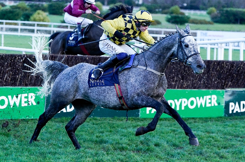 National Hunt Chase Odds and Entries