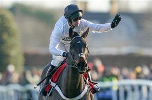 Constitution Hill, Bravemansgame and Hermes Allen to go straight to Cheltenham