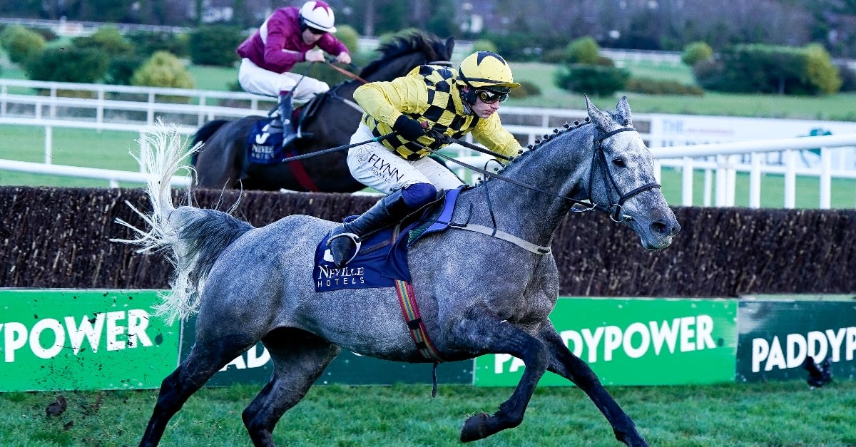 National Hunt Chase Odds and Entries