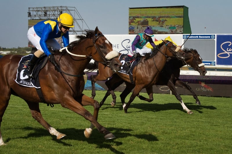kenilworth races