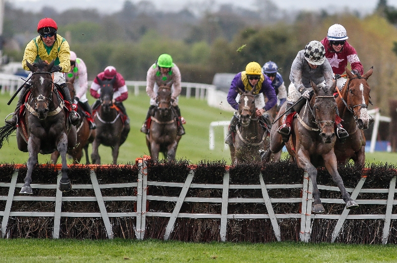naas hurdle