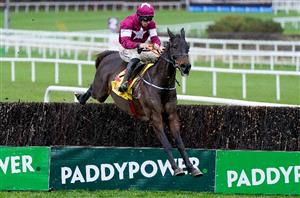 Cheltenham 2023 Tips - Non-Runner No Bet picks with bet365