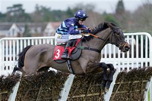 ESHER, ENGLAND - JANUARY 07: Tom Buckley riding I Have A Voice clear the last to win The Unibet Extra Places Every Day Juvenile Hurdle at Sandown Park on January 07, 2023 in Esher, England. (Photo by Alan Crowhurst/Getty Images)