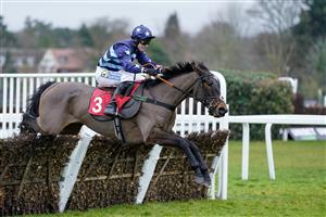 ESHER, ENGLAND - JANUARY 07: Tom Buckley riding I Have A Voice clear the last to win The Unibet Extra Places Every Day Juvenile Hurdle at Sandown Park on January 07, 2023 in Esher, England. (Photo by Alan Crowhurst/Getty Images)