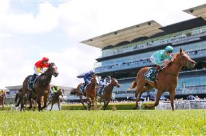Magic Millions 2YO Classic Barrier Draw & Final Field