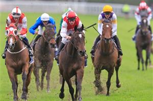 Magic Millions 3YO Guineas Barrier Draw & Final Field