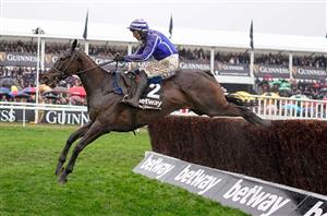 2023 Cheltenham Festival Tips - Will these five favourites do the business?