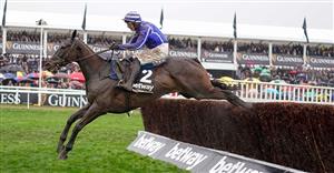 Cheltenham 2023 Day 2 Betting - Five Morning Market Movers