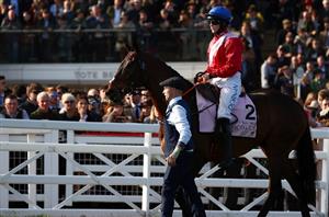 Cheveley Park happy to send Allaho and A Plus Tard straight to Cheltenham