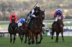 2023 Stayers' Hurdle Odds and Entries - Teahupoo and Home By The Lee top list of 28 entrants