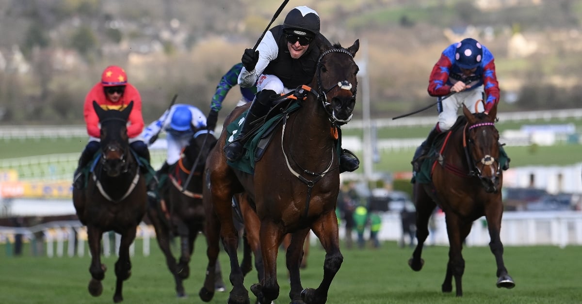 Who wins the 2023 stayers' hurdle