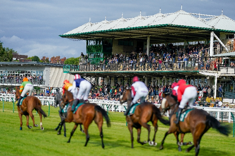 warwick hurdle