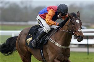WARWICK, ENGLAND - JANUARY 14: Tom Cannon riding Non Stop clear the last to win The Mark Jackson & Neil Keenan Memorial Novices