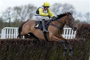 WARWICK, ENGLAND - JANUARY 14: Harry Skelton riding Galia Des Liteaux clear the last to win The eventmasters.co.uk Hampton Novices