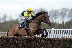 WARWICK, ENGLAND - JANUARY 14: Harry Skelton riding Galia Des Liteaux clear the last to win The eventmasters.co.uk Hampton Novices