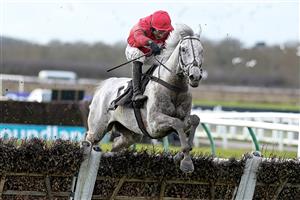 WARWICK, ENGLAND - JANUARY 14: Harry Skelton riding Grey Dawning clear the last to win The Ballymore Leamington Novices