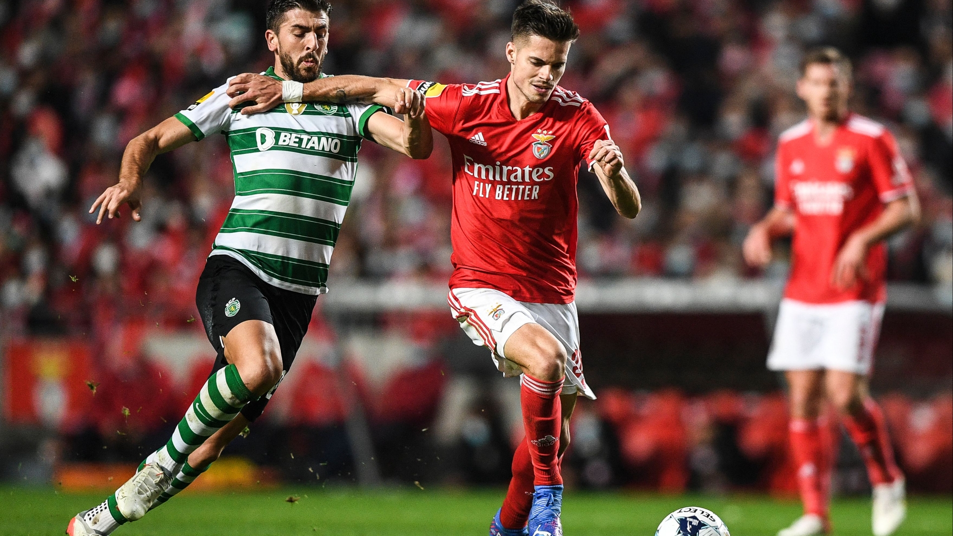 Benfica Vs Sporting Results 2025 Predictions Tamma Fidelity
