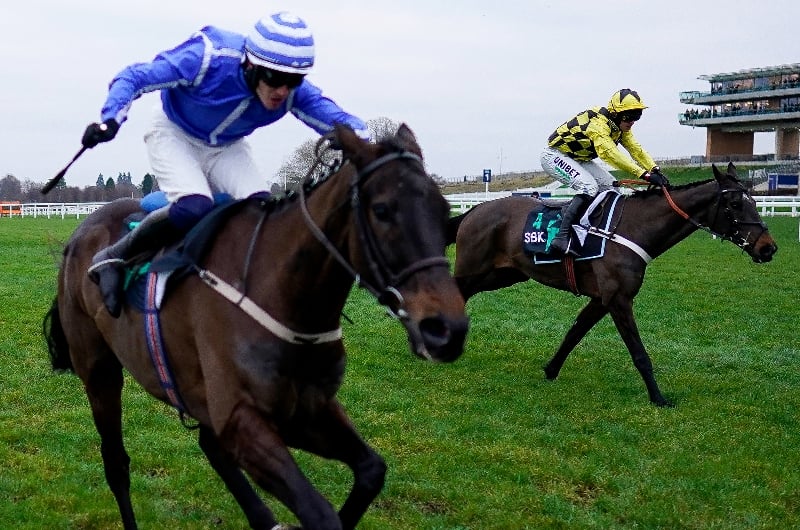 energumene ascot