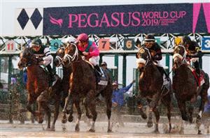 2023 Pegasus World Cup Odds - Cyberknife favourite to win massive first prize at Gulfstream