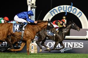 Meydan Tips - Dubai World Cup Carnival Week 3 Predictions on January 20th