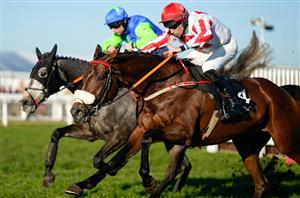 Cheltenham 2023 Tips - Five early handicap selections