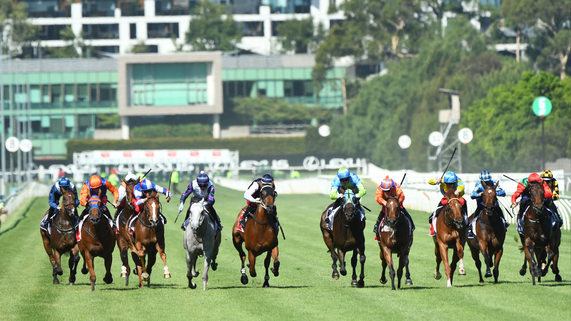 Flemington Racing Tips, Best Bets & Odds Today's Betting Tips for
