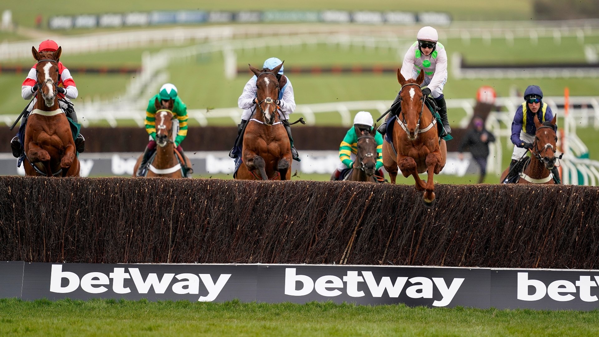 2023 Brown Advisory Novices' Chase Odds, Entries and Runners [Updated