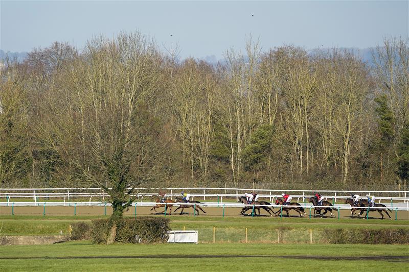Racing Photos Lingfield races on January 21st [Pictures and Results]