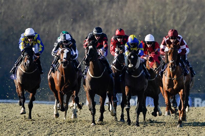 Racing Photos Lingfield races on January 21st [Pictures and Results]