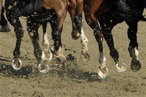 LINGFIELD, ENGLAND - JANUARY 21: A general view at Lingfield Park on January 21, 2023 in Lingfield, England. (Photo by Alan Crowhurst/Getty Images)
