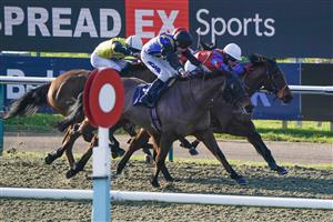 LINGFIELD, ENGLAND - JANUARY 21: Molly Gunn riding Beau Geste (R, white cap) win The Spreadex Sports First Goalscorer Insurance Classified Stakes at Lingfield Park on January 21, 2023 in Lingfield, England. (Photo by Alan Crowhurst/Getty Images)