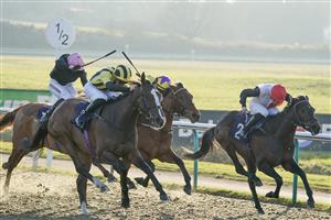 LINGFIELD, ENGLAND - JANUARY 21: James Doyle riding Al Agaila (yellow/black stripes) win The talkSPORT Winter Oaks Fillies' Handicap at Lingfield Park on January 21, 2023 in Lingfield, England. (Photo by Alan Crowhurst/Getty Images)