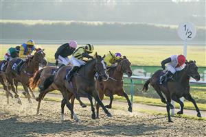 LINGFIELD, ENGLAND - JANUARY 21: James Doyle riding Al Agaila (yellow/black stripes) win The talkSPORT Winter Oaks Fillies' Handicap at Lingfield Park on January 21, 2023 in Lingfield, England. (Photo by Alan Crowhurst/Getty Images)