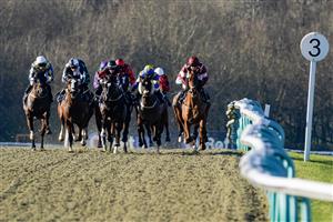 LINGFIELD, ENGLAND - JANUARY 21: Down the side of the track during The BetUK's Acca Club 5 Free Bet Handicap at Lingfield Park on January 21, 2023 in Lingfield, England. (Photo by Alan Crowhurst/Getty Images)