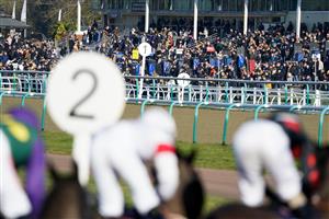 LINGFIELD, ENGLAND - JANUARY 21: A good sized crowd watch The BetUK's Acca Club 5 Free Bet Handicap at Lingfield Park on January 21, 2023 in Lingfield, England. (Photo by Alan Crowhurst/Getty Images)