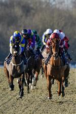 LINGFIELD, ENGLAND - JANUARY 21: Runners during The BetUK's Acca Club 5 Free Bet Handicap at Lingfield Park on January 21, 2023 in Lingfield, England. (Photo by Alan Crowhurst/Getty Images)