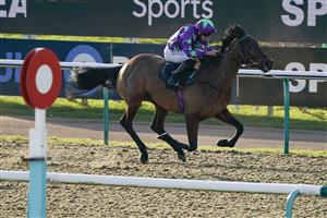 LINGFIELD, ENGLAND - JANUARY 21: Ryan Moore riding All The King's Men win The Spreadex Sports Get 40 In Bonuses Handicap at Lingfield Park on January 21, 2023 in Lingfield, England. (Photo by Alan Crowhurst/Getty Images)