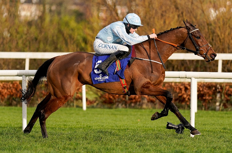 2023 Irish Champion Hurdle Odds - Honeysuckle trails State Man in Leopardstown betting