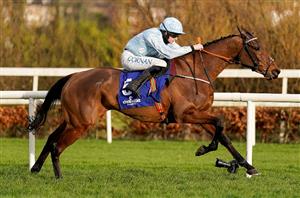 2023 Irish Champion Hurdle Odds - Honeysuckle trails State Man in Leopardstown betting