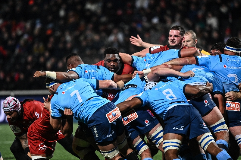 Bulls rugby